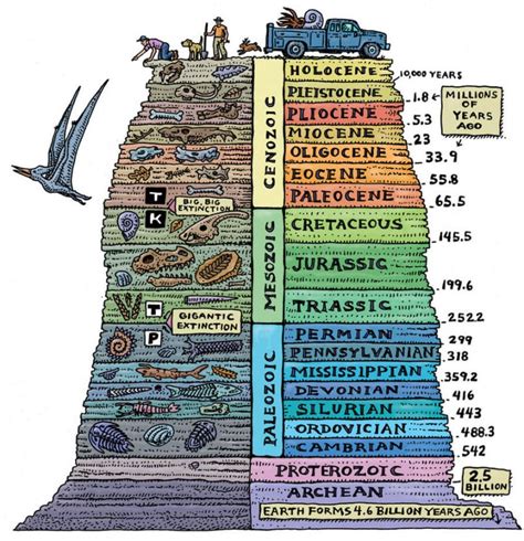 fossil order status